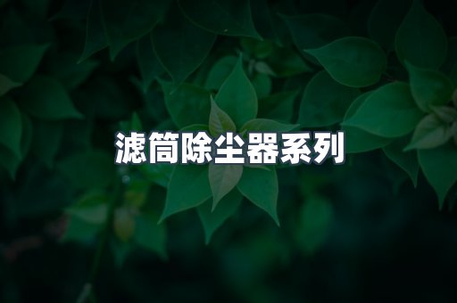 滤筒除尘器系列
