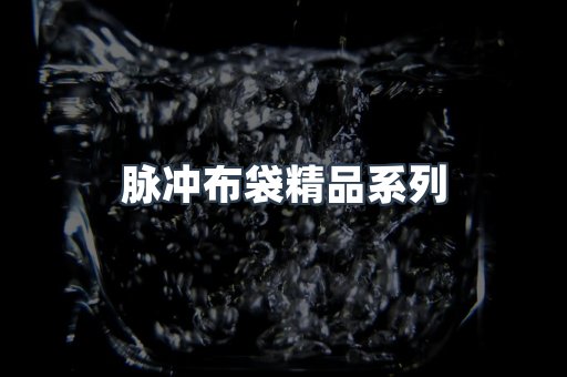 脉冲布袋精品系列